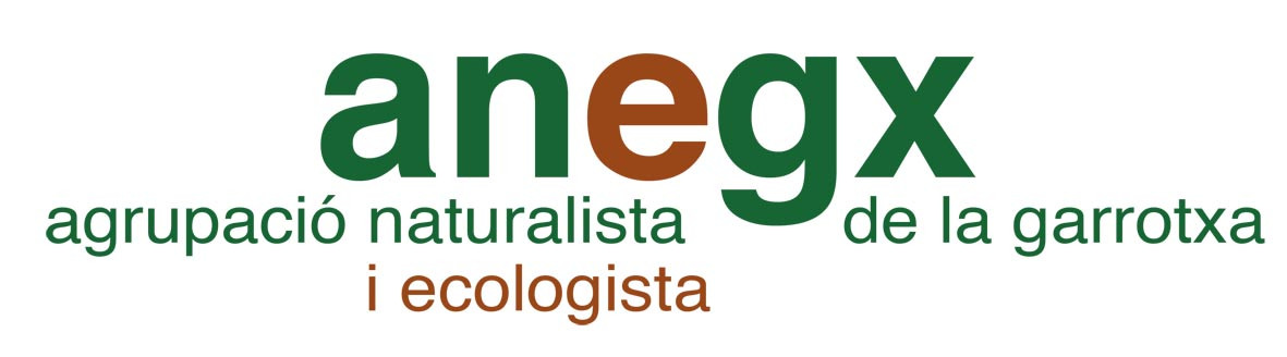 ANEGx Logo