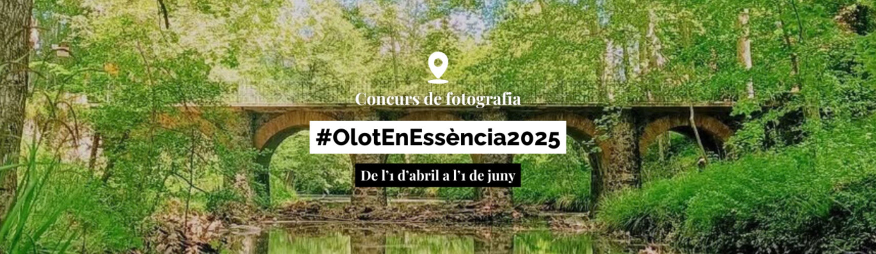 Olot En Essència