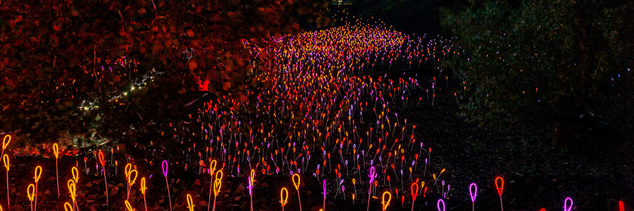 Festival Lluèrnia.