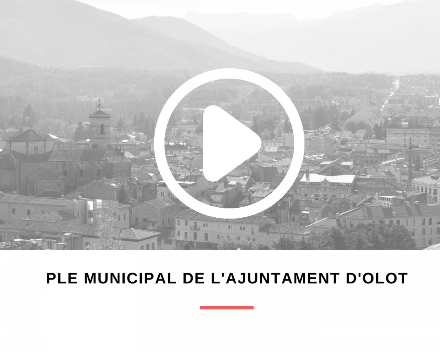 ple-municipal-web-icona