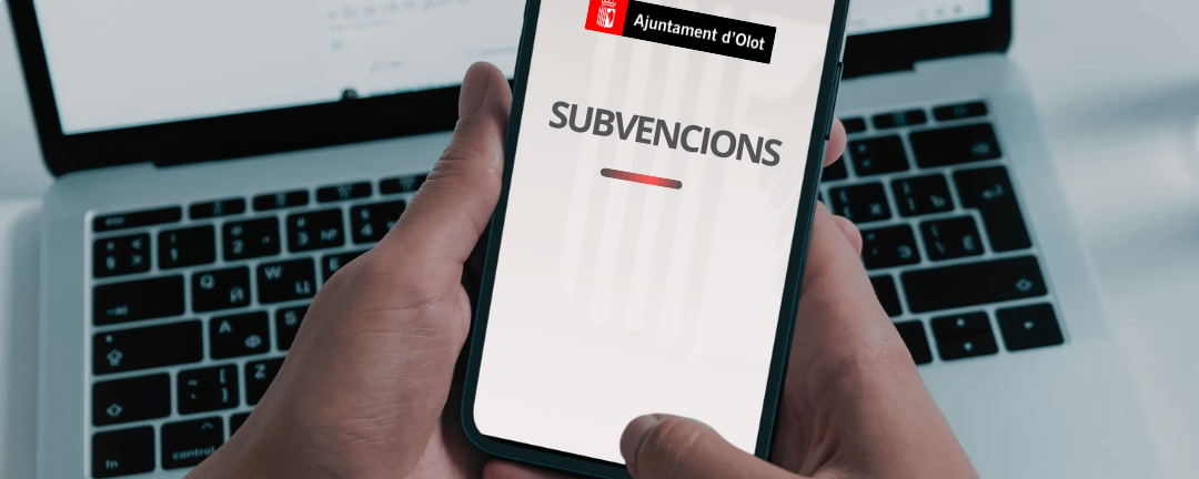 Quadrat_Subvencions2025