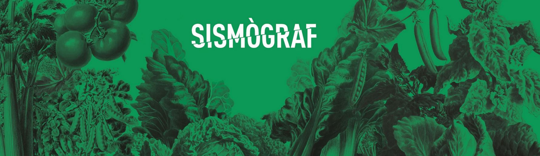 Sismògraf