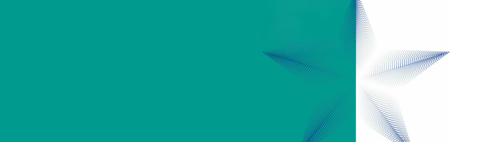 El desembre a Olot és temps de Nadal