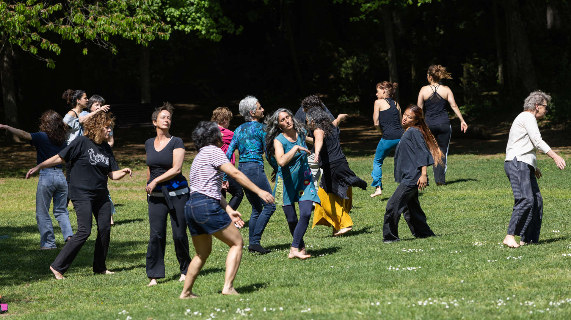 10-04-meditacio-sismograf