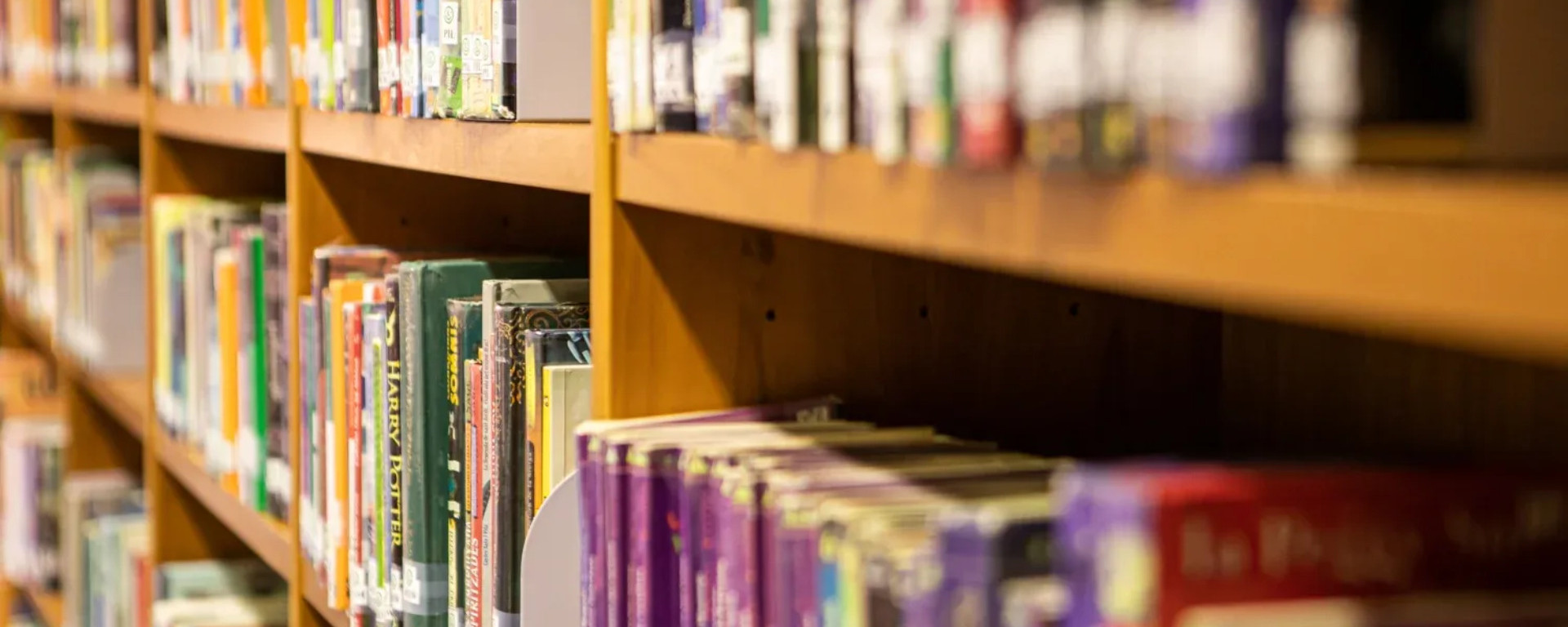 agenda-web-mides-olot-10-2