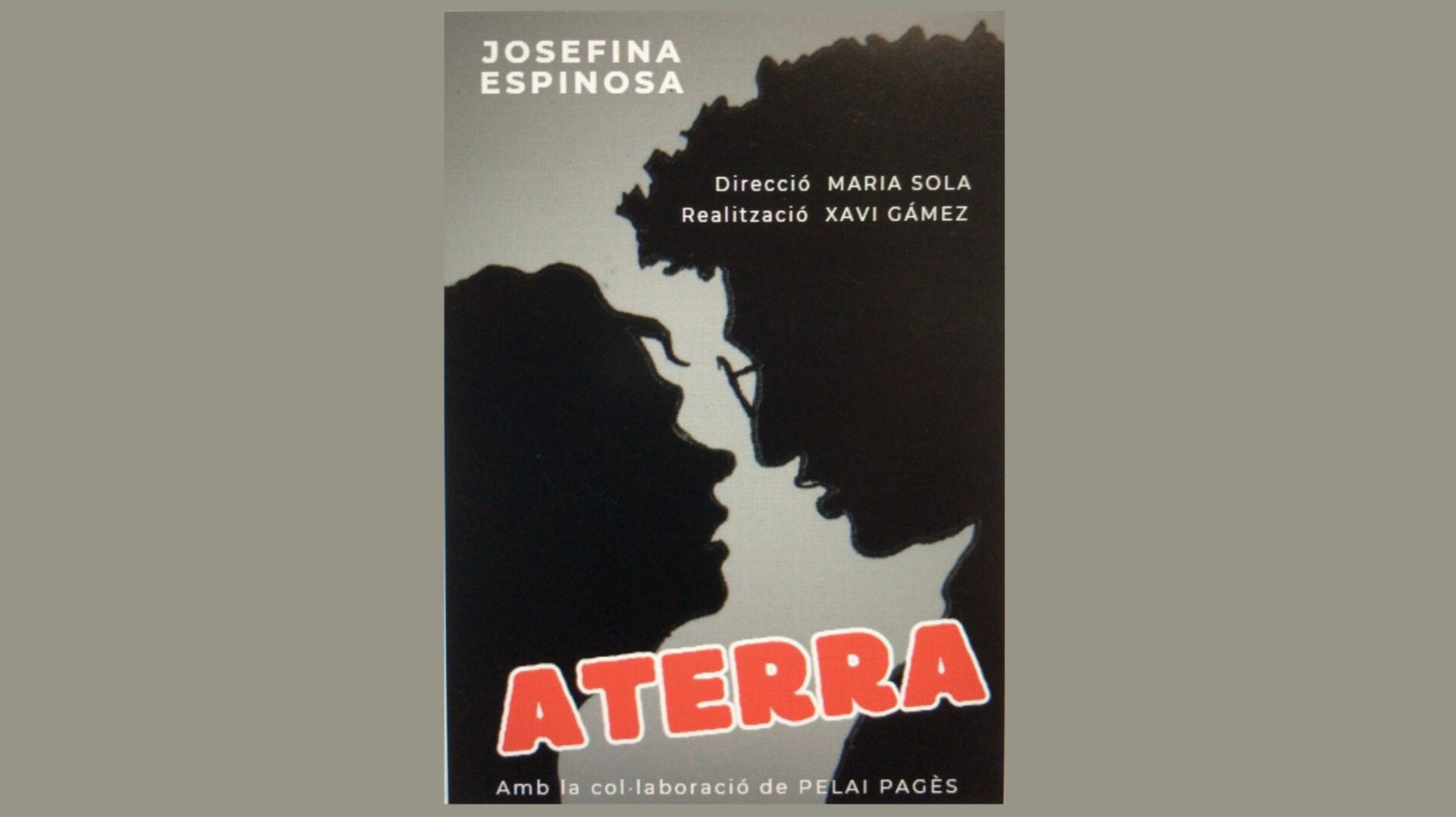 agenda-web-mides-olot-10