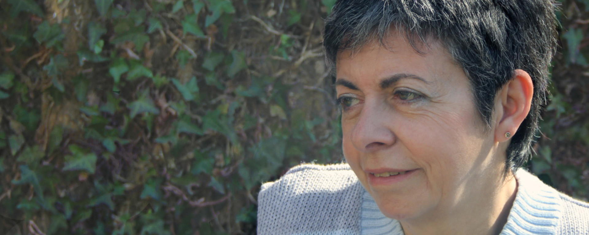 agenda-web-mides-olot-2-3