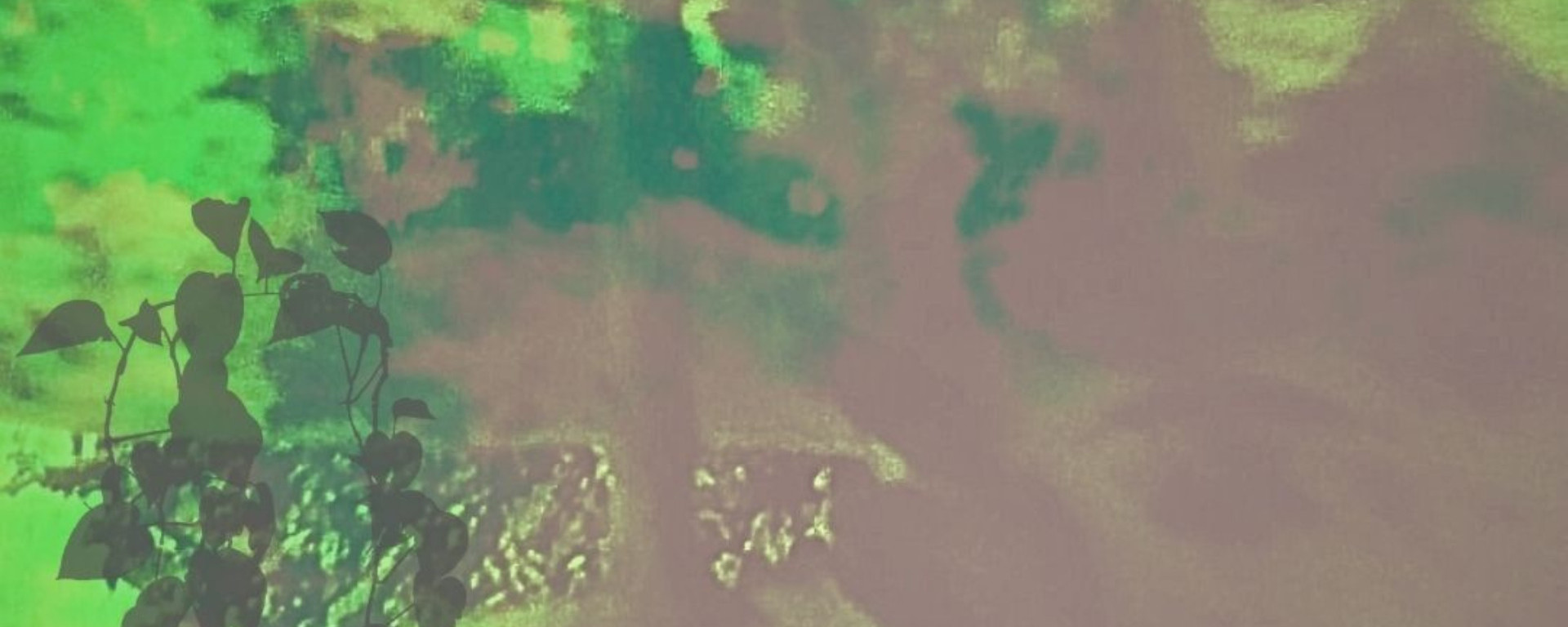 agenda-web-mides-olot-2