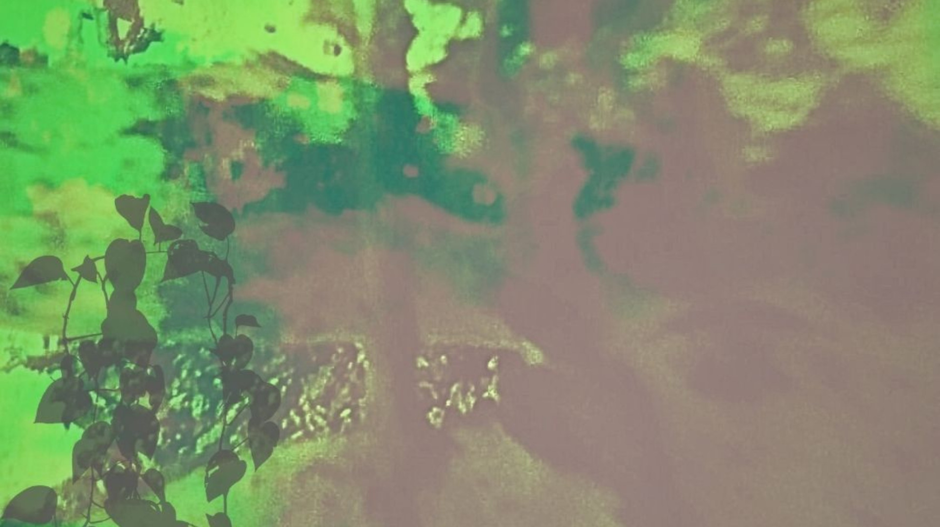 agenda-web-mides-olot-2