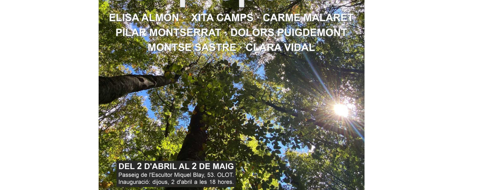 agenda-web-mides-olot-4