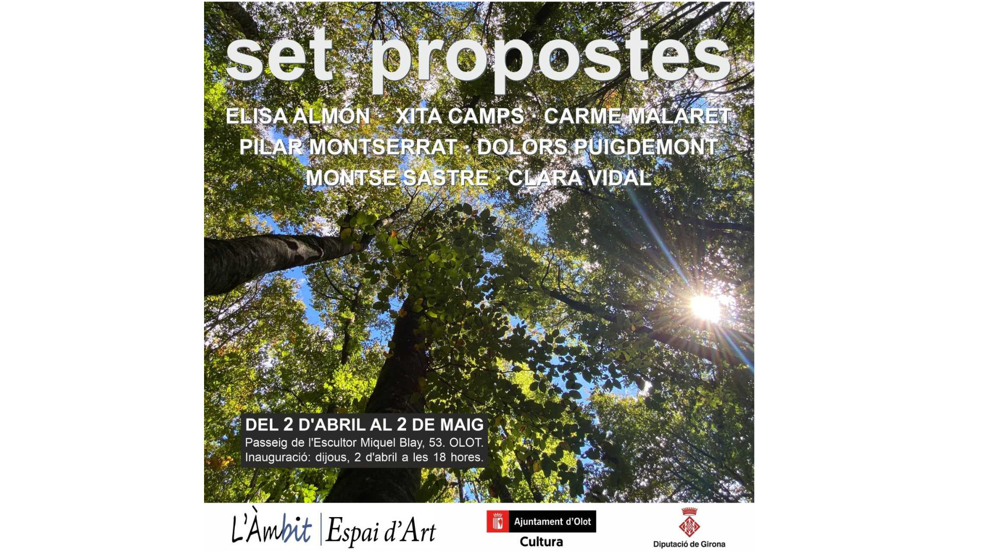 agenda-web-mides-olot-4