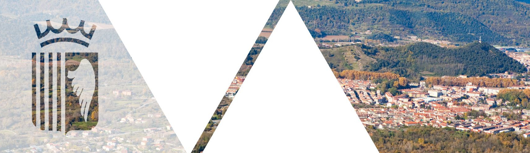 Vols treballar a l’Ajuntament d’Olot?