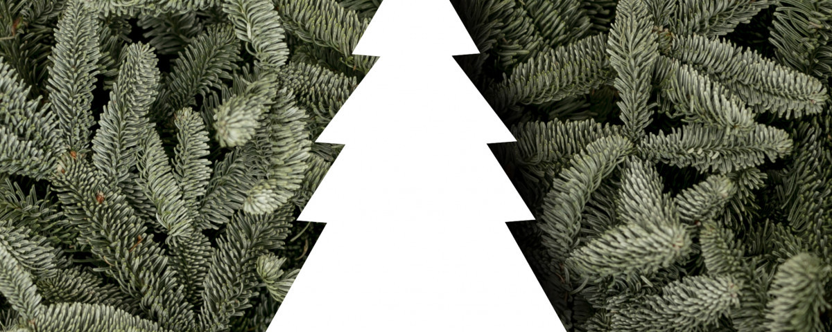 Arbres_Nadal_2