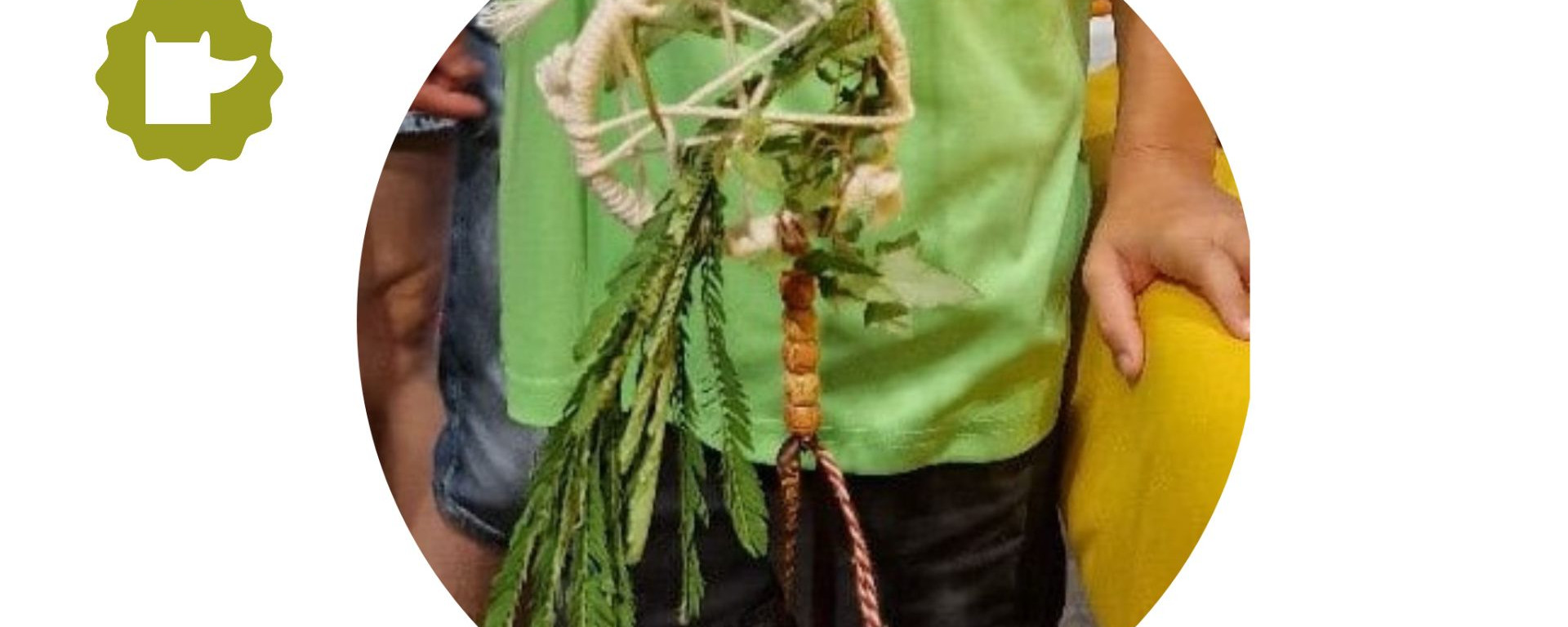 atrapa-somnis