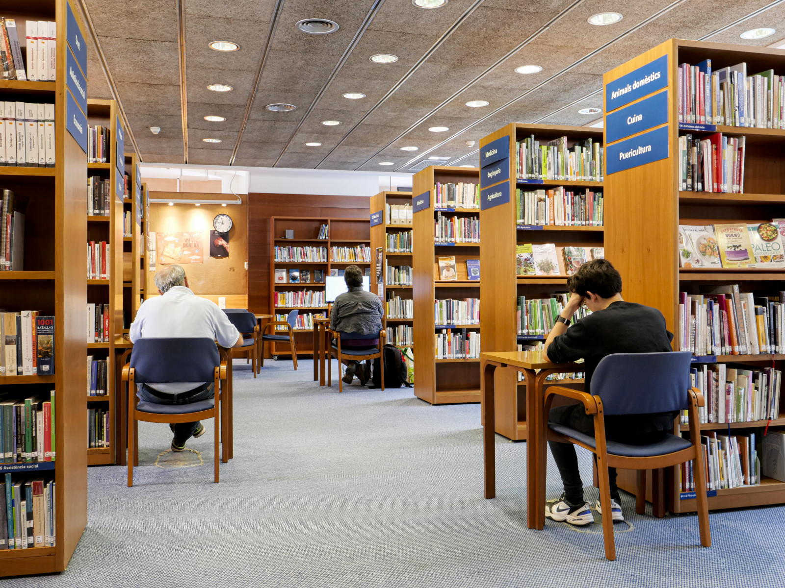 Biblioteca-2