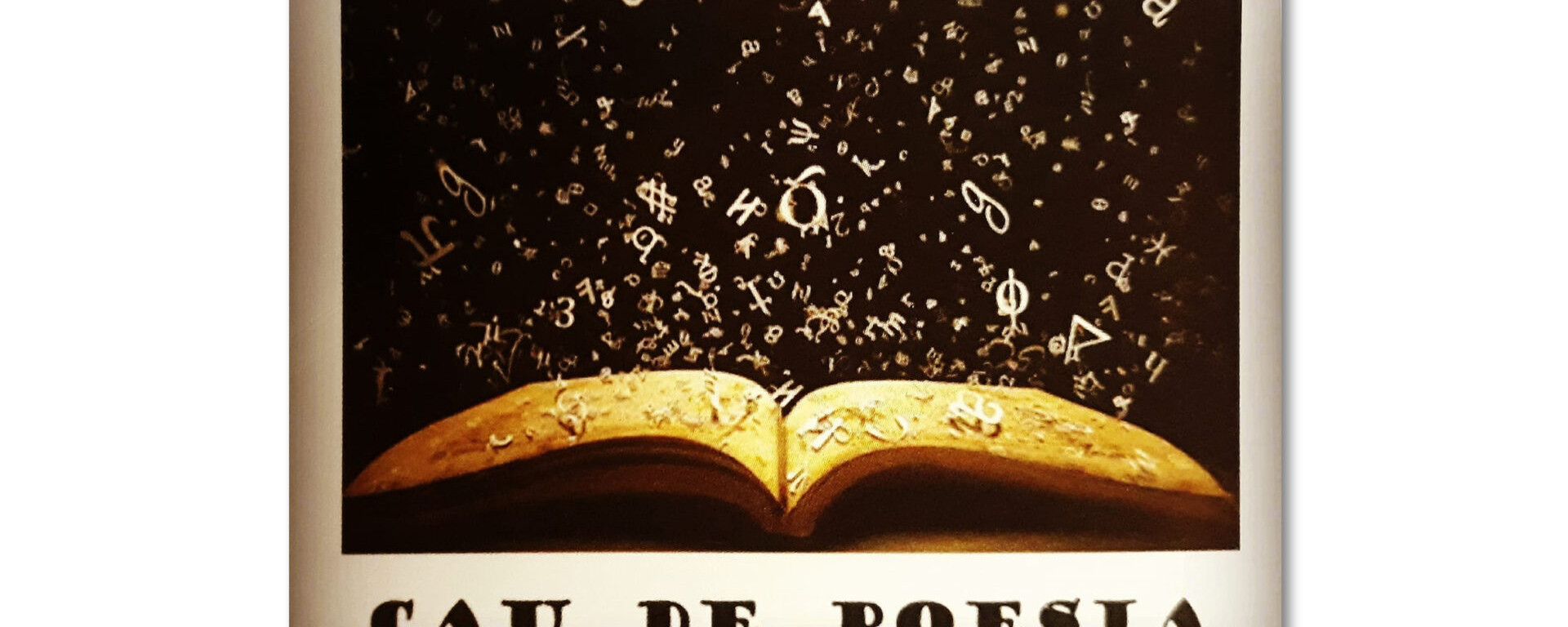 cau-de-poesia-2