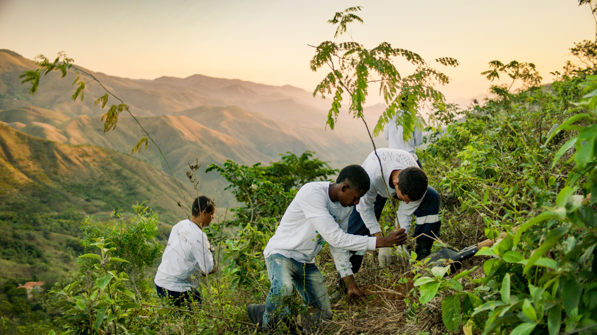 CINEMACRATER_Eating our way to extintion1