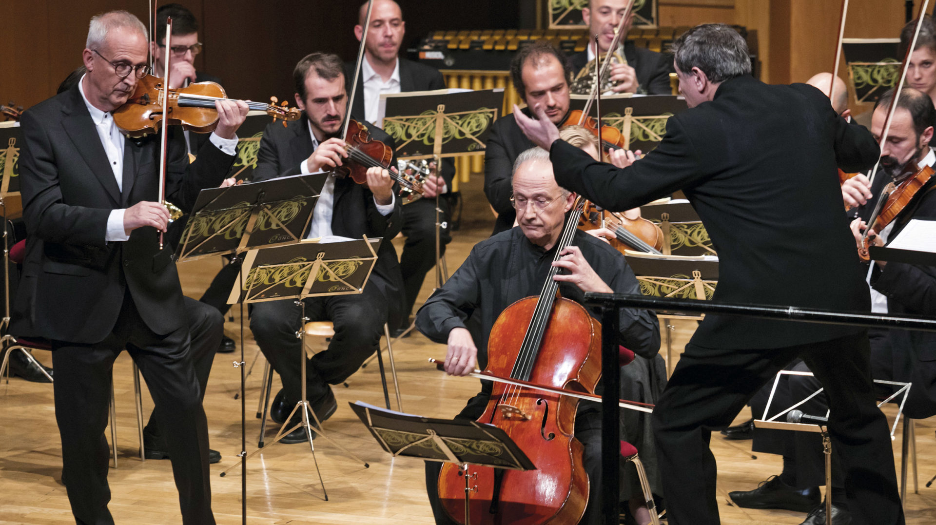 concert-nadal-5