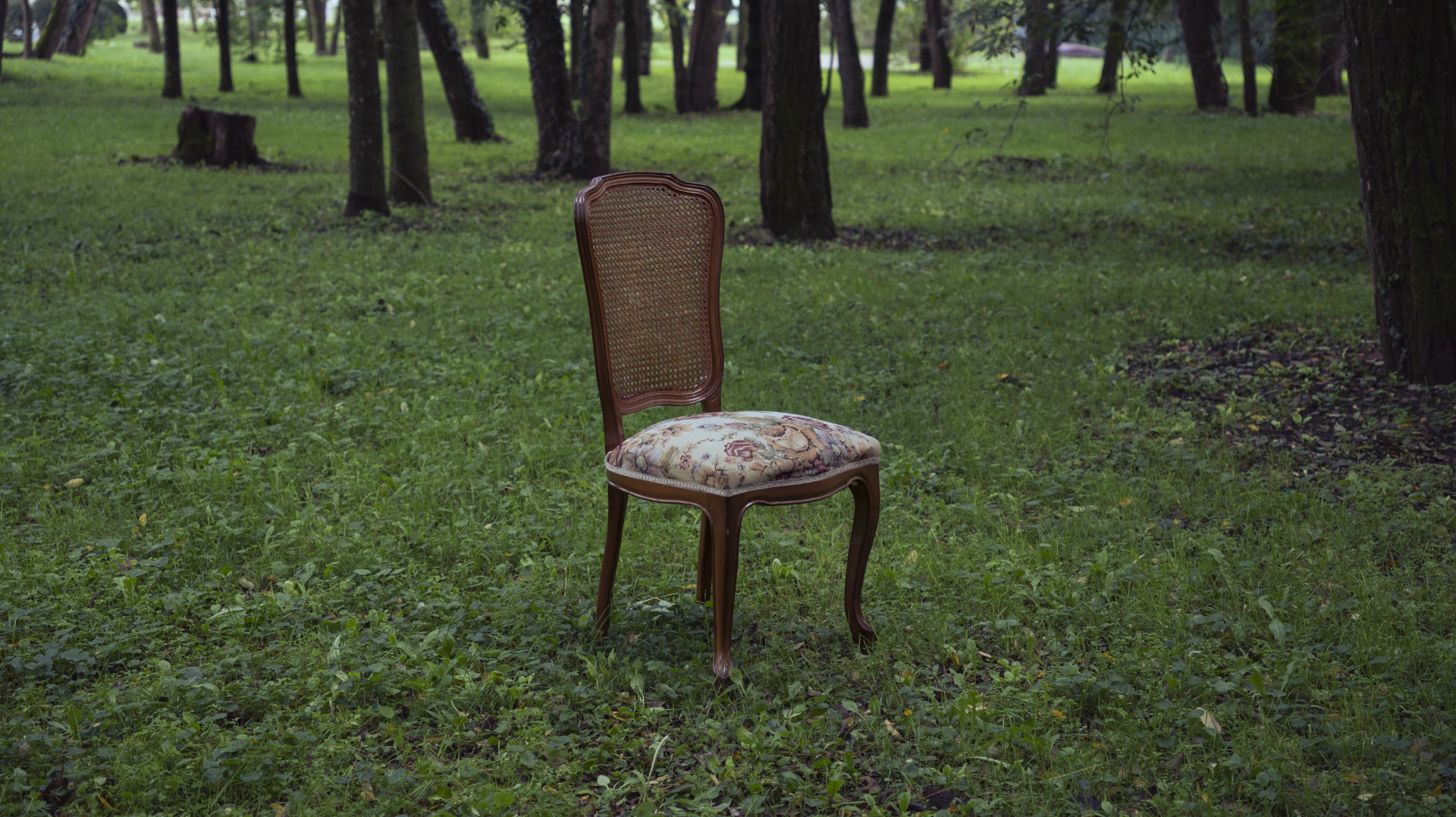 concert-quartet-vivancos-i-trio-defillo