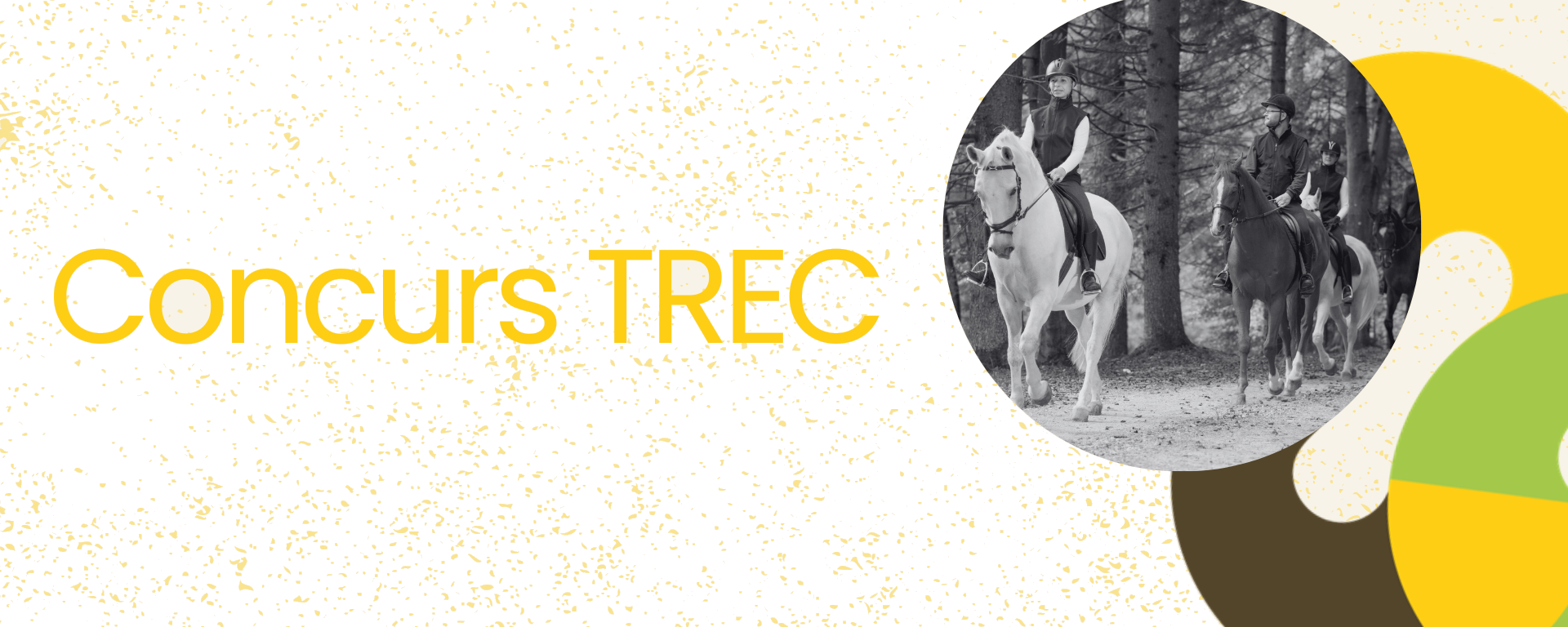 Concurs TREC