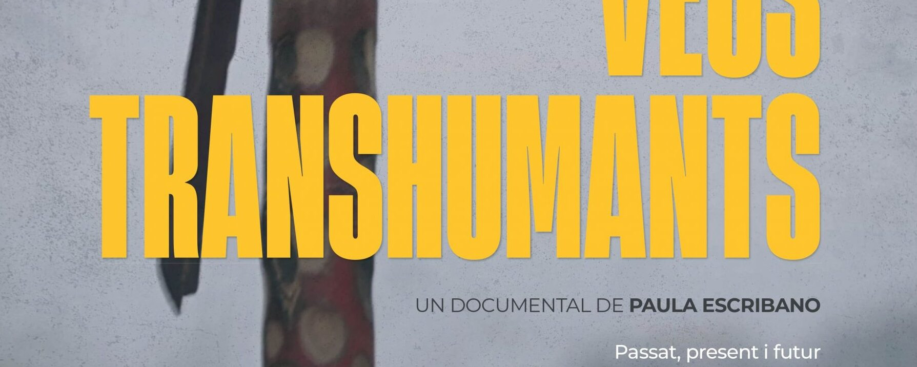 documental-veus-transhumants