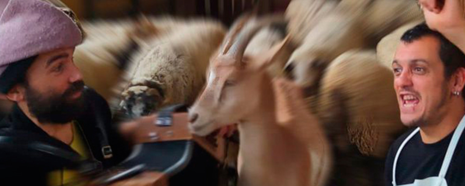 el-pp-el-pastori-i-el-pastisser