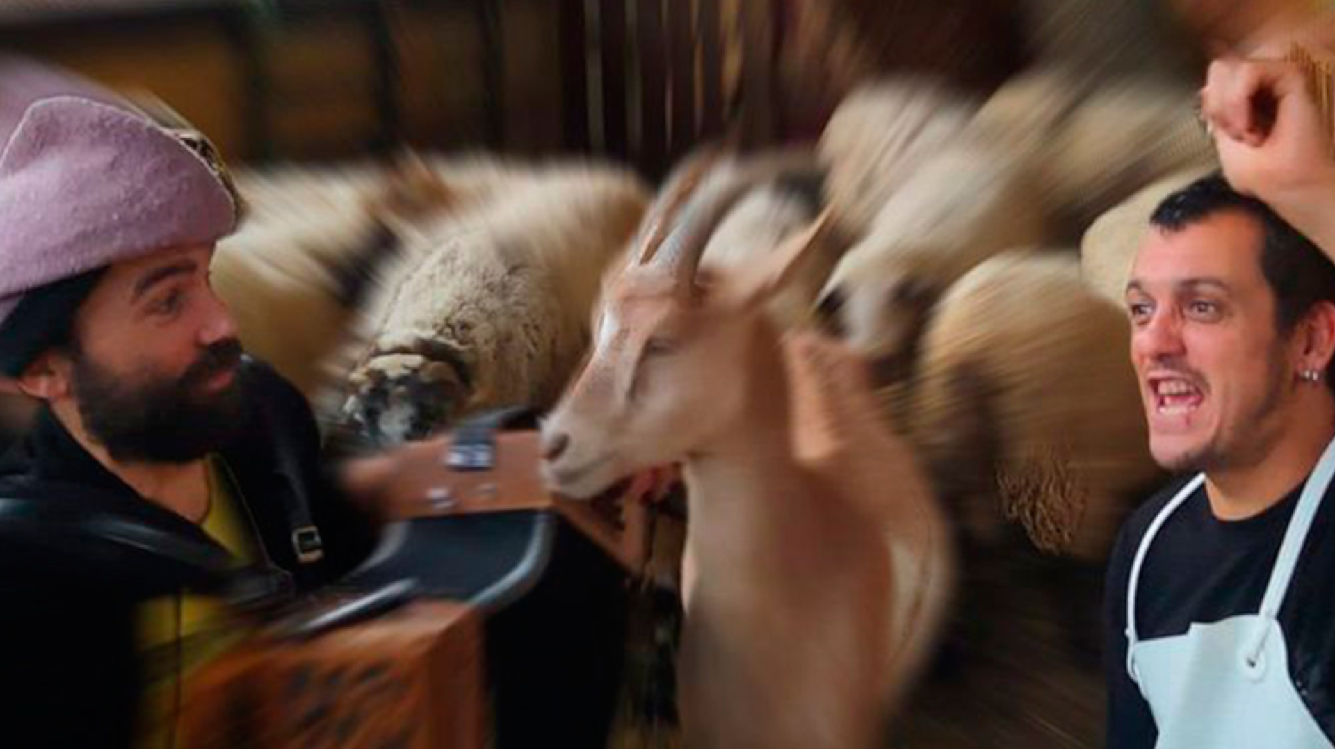 el-pp-el-pastori-i-el-pastisser