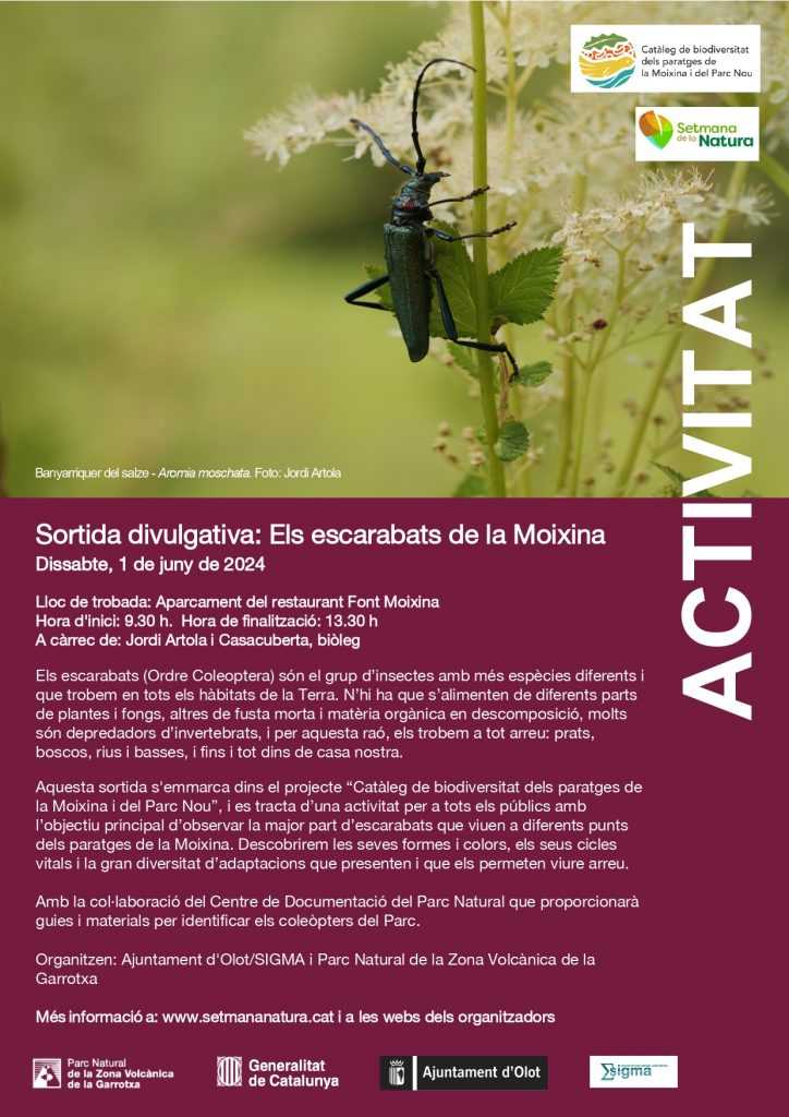 EscarabatsMoixina