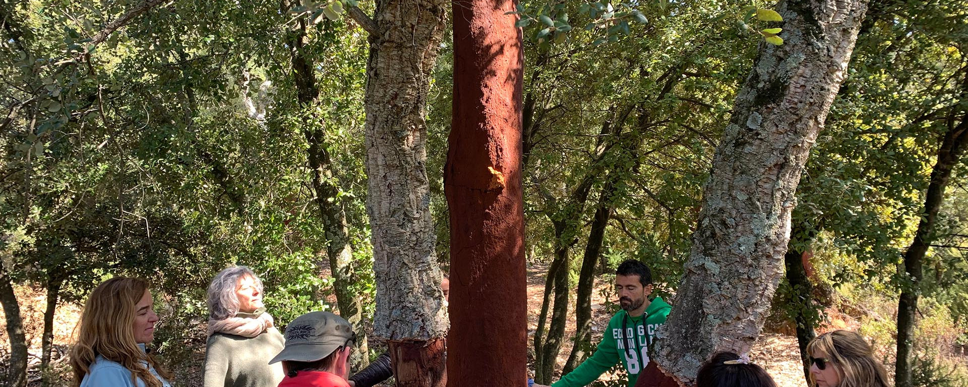 expo-llor-banys-de-bosc