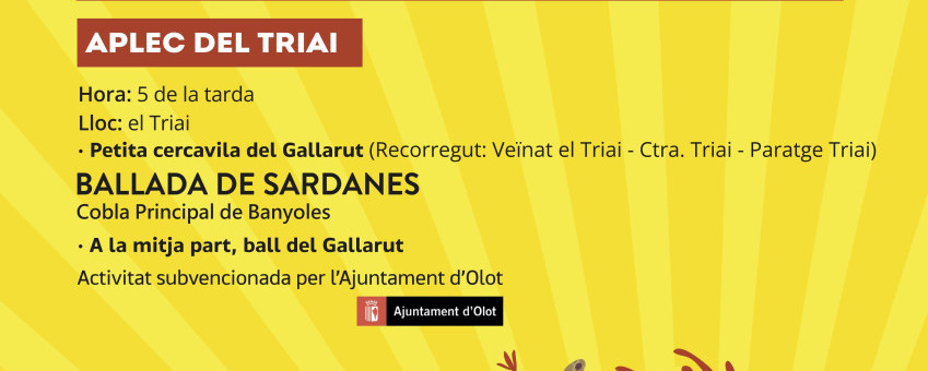 FESTADELROSER2026_SENSESANGS copia