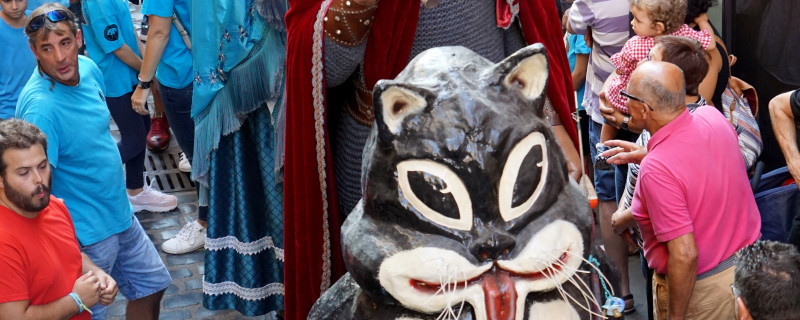 festes-del-tura-2019-66