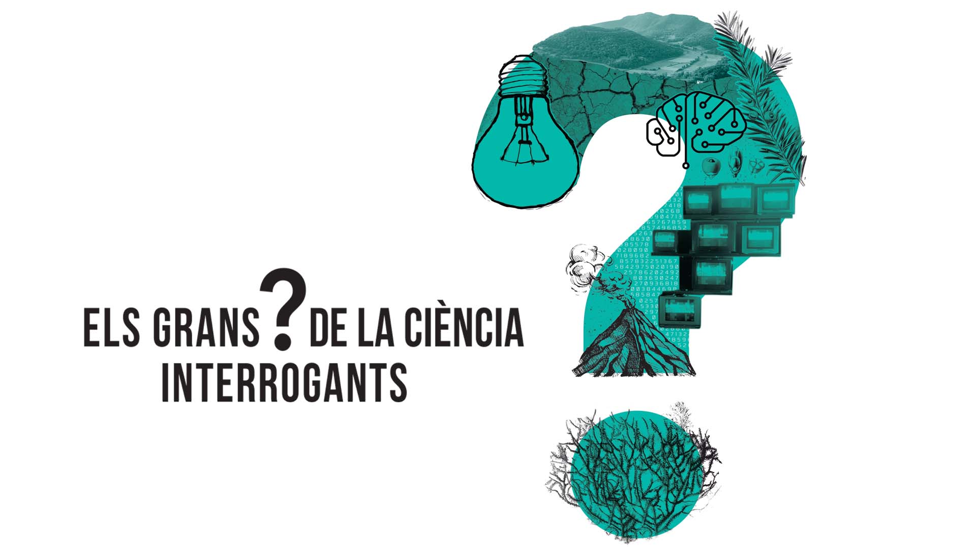 interrogants-4