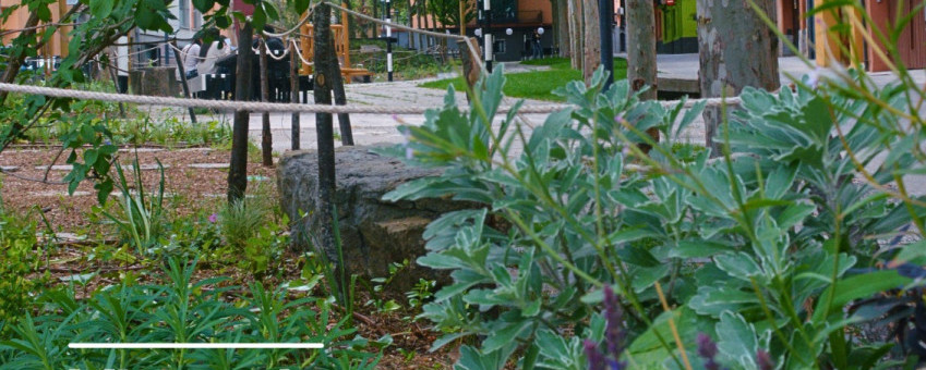 JardinsMuralla_invitacio_08052026
