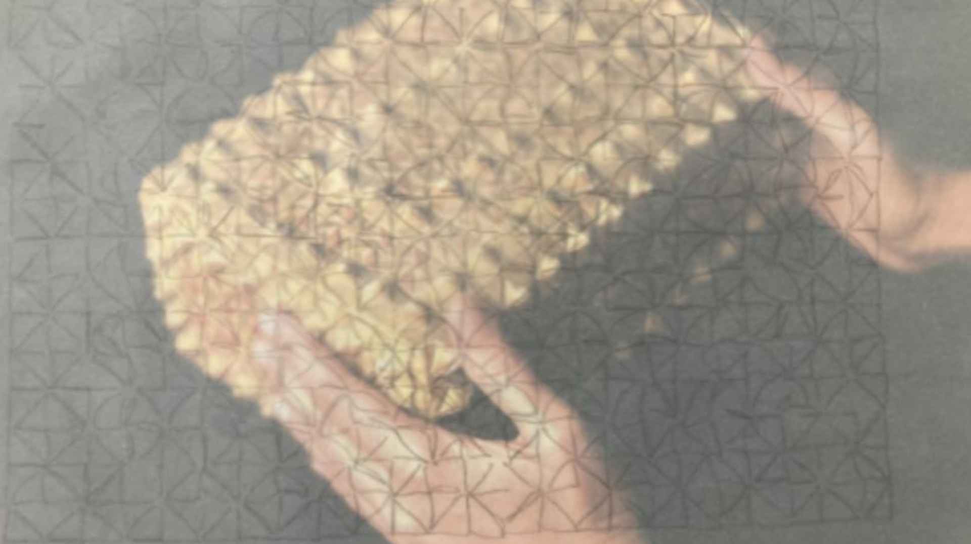 lespera-2