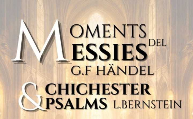 noticies-blog-mides-adaptades-olot-7