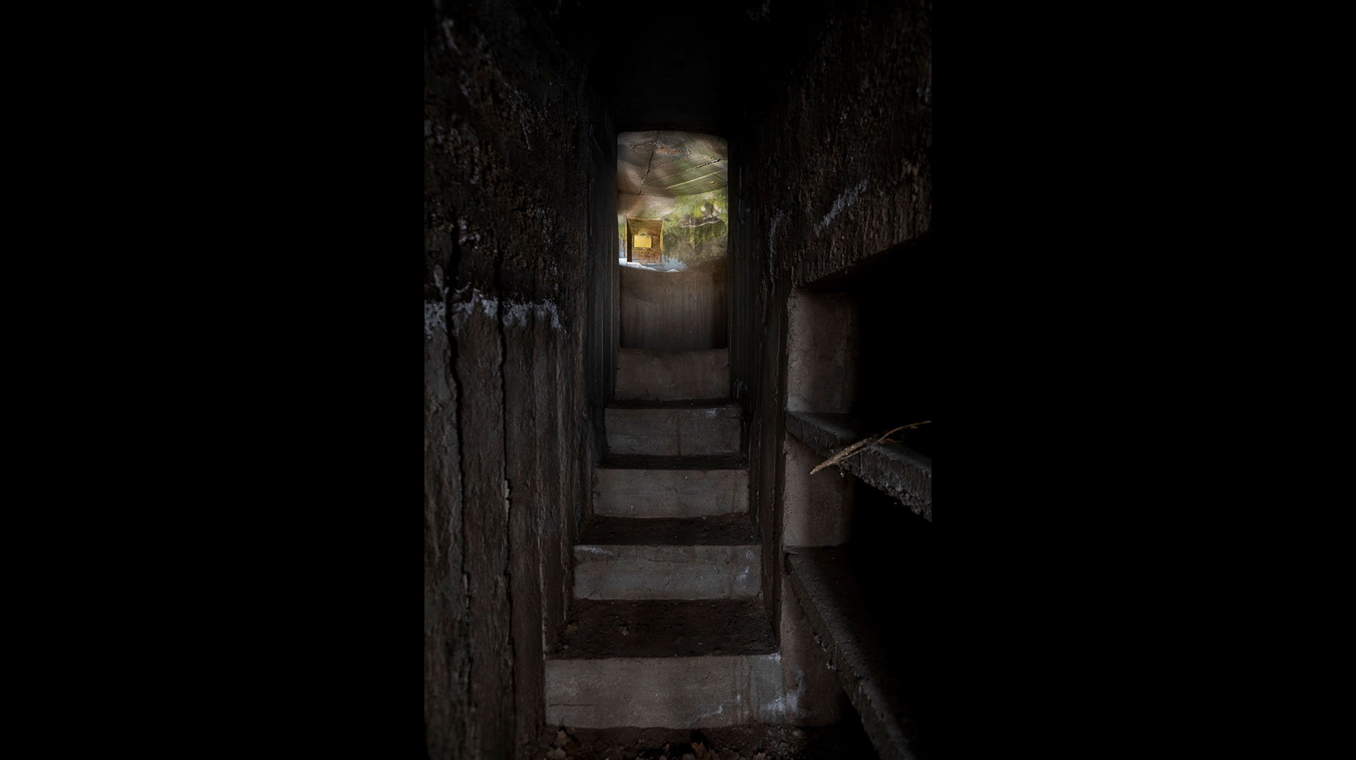 oa-dins-el-punt-de-mira