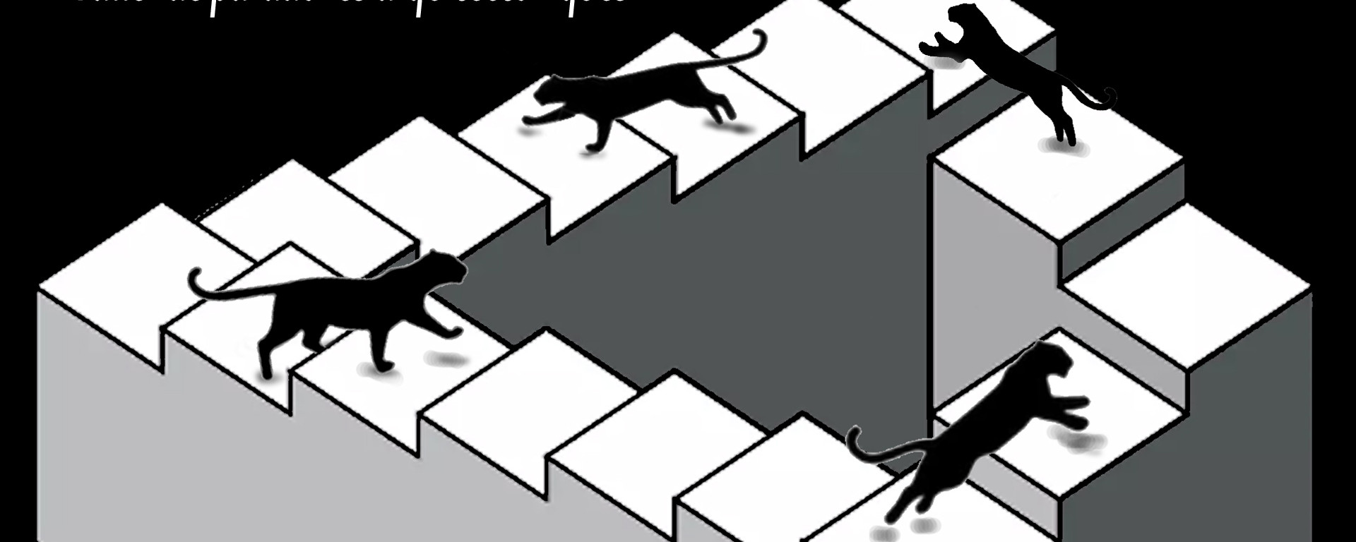 paradoxes-arquitectoniques