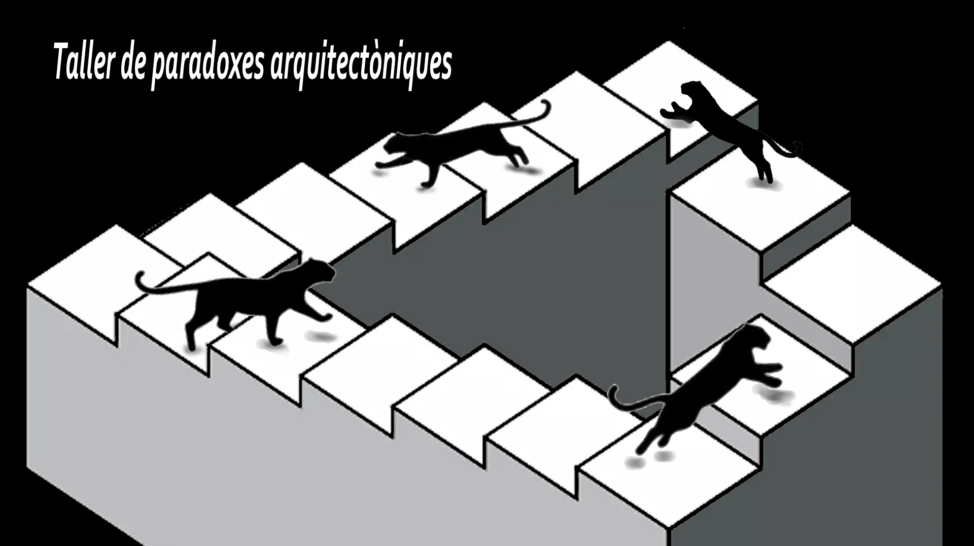 paradoxes-arquitectoniques