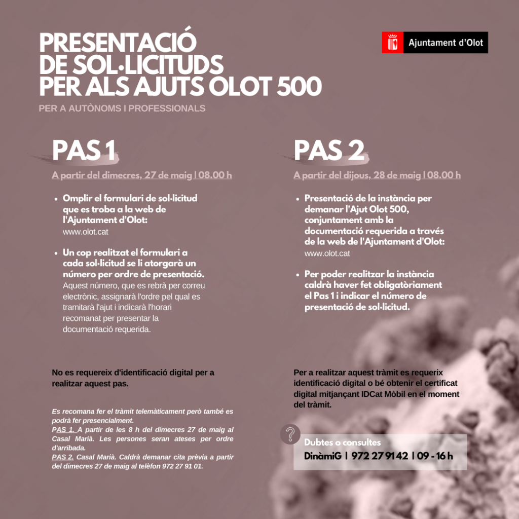 Passos_AjuntamentOlot