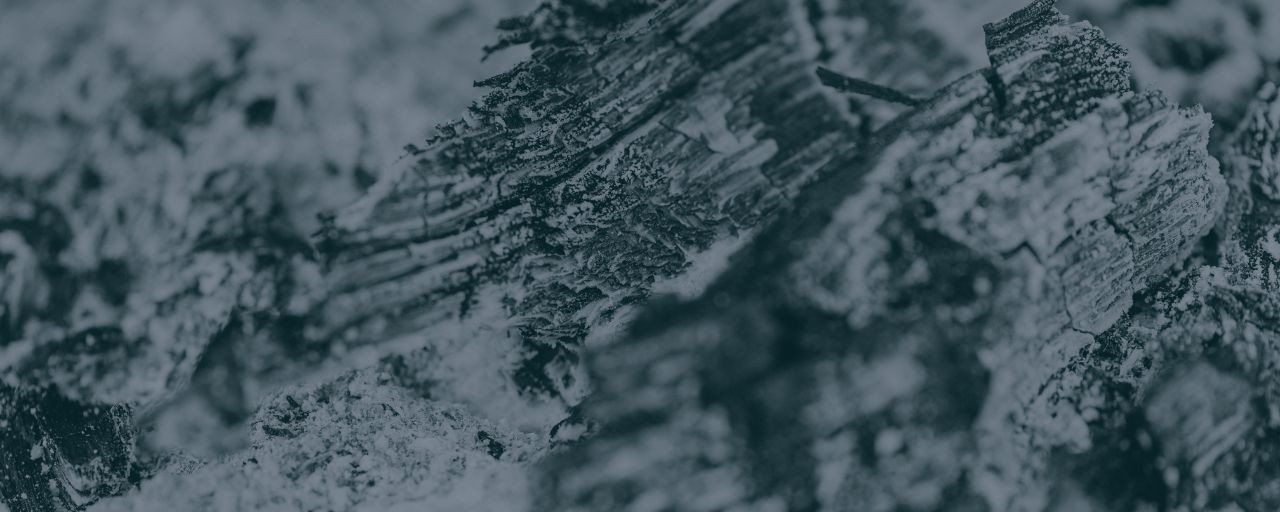 Plantilla_2_Informació_Olot (38)