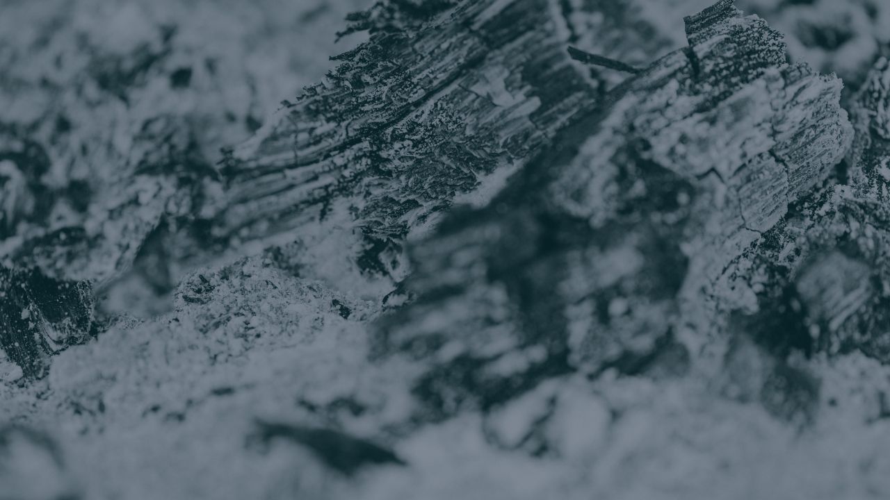 Plantilla_2_Informació_Olot (38)