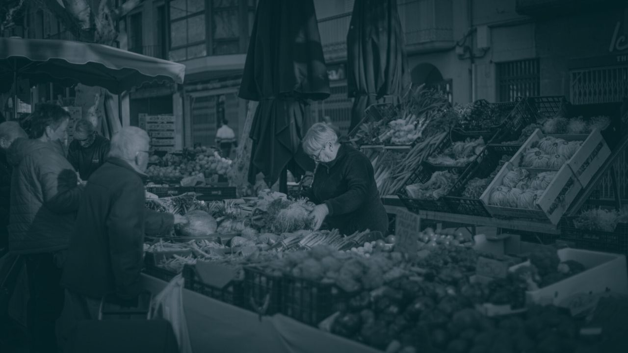 Plantilla_2_Informació_Olot (40)