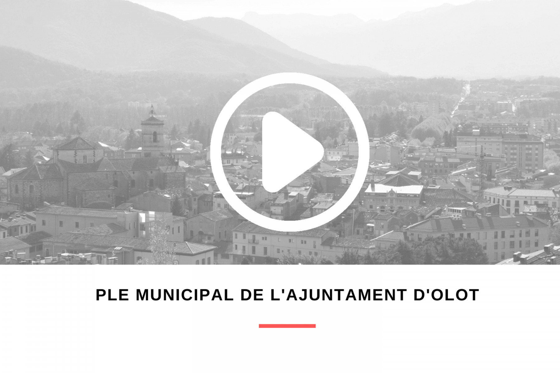 Ple_Municipal_Web_Icona