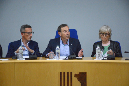 Ple_Olot_1