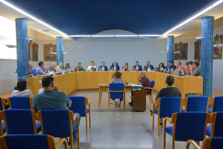 Ple_Olot_1_