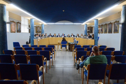 Ple_Olot_2