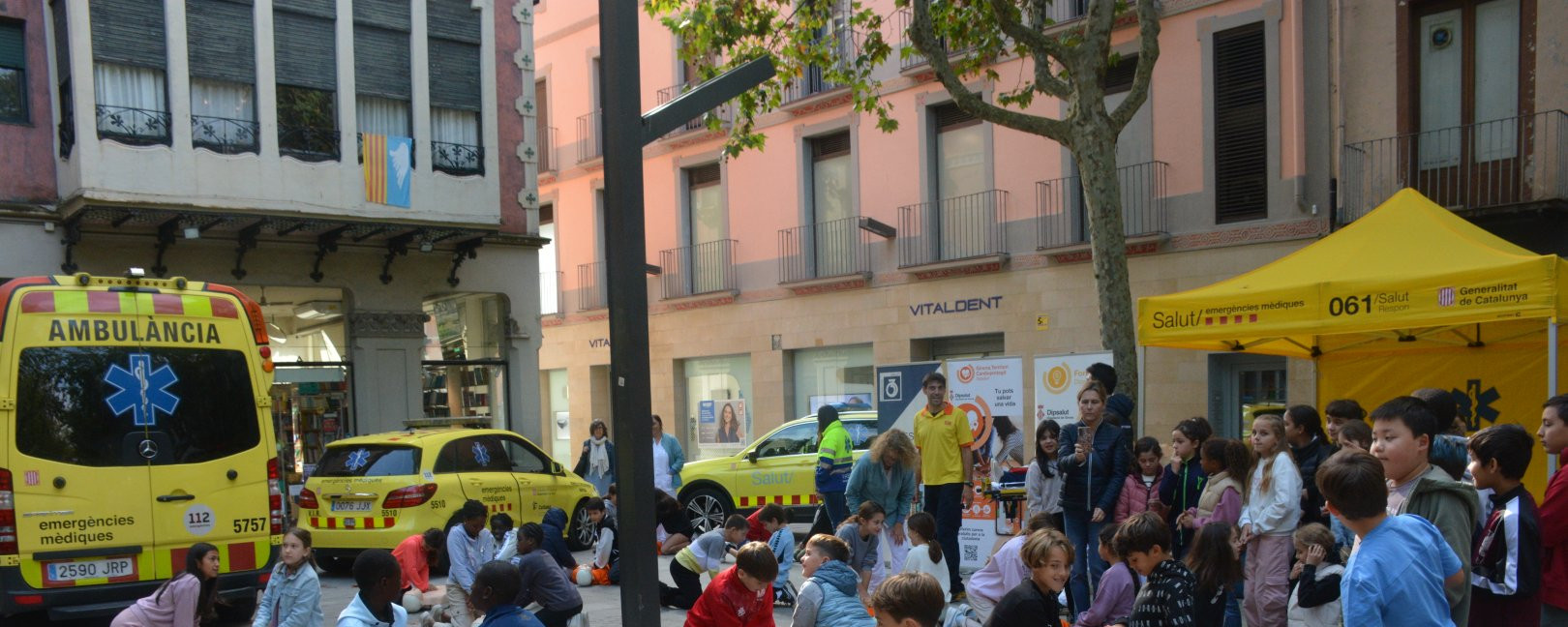 RCP_20 (Grande)