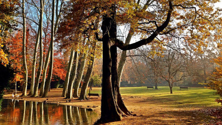 Subvencio_ParcNou