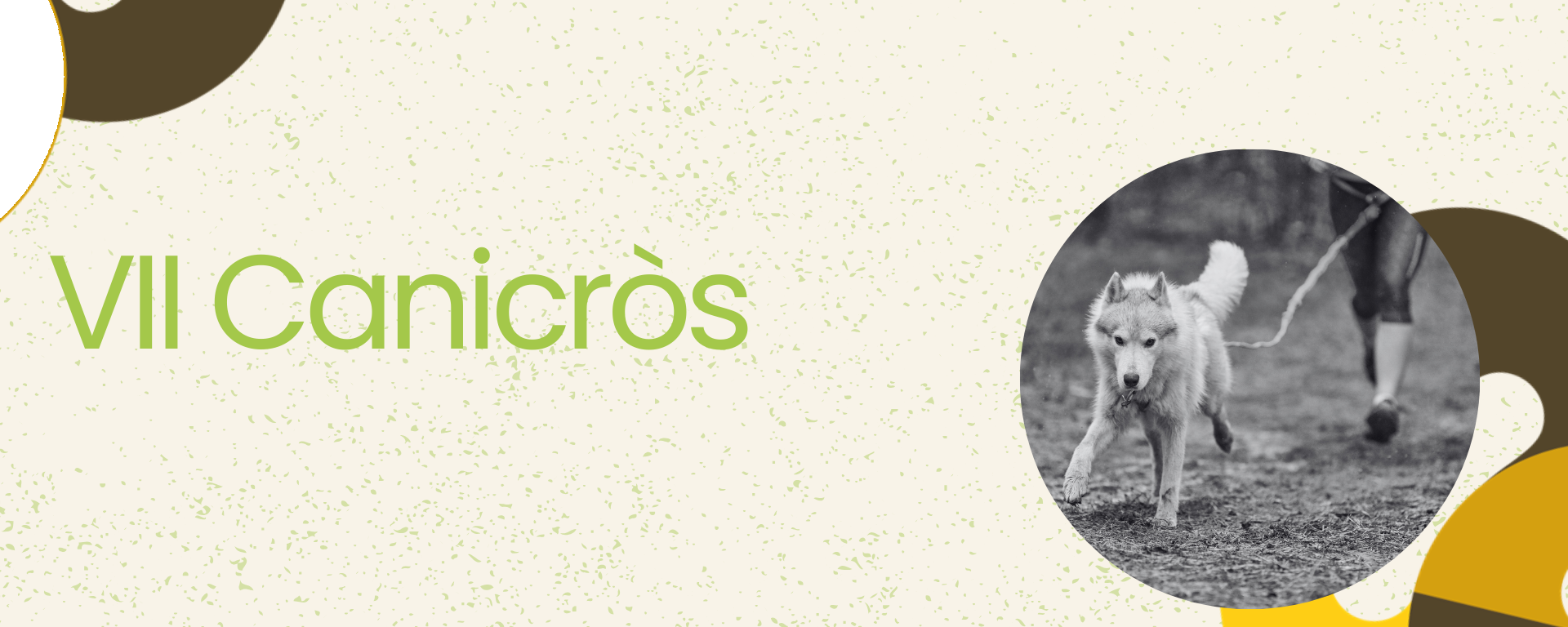 VII Canicròs
