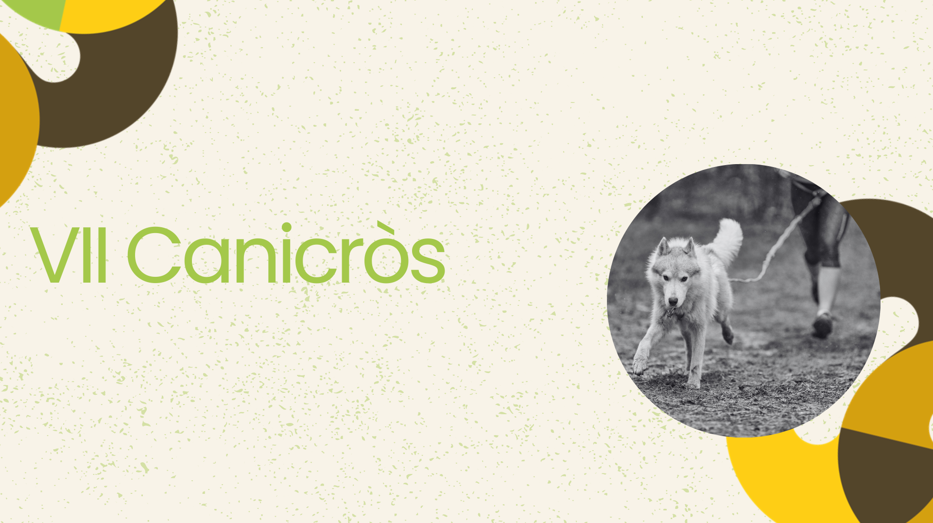 VII Canicròs